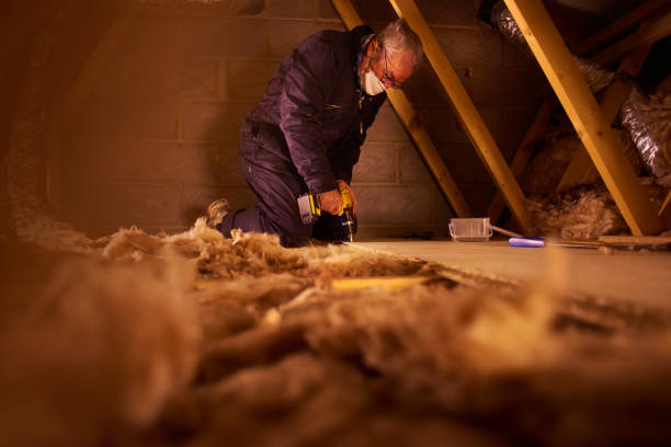 Trusted Sandy Springs, SC Insulation Contractor Experts